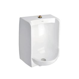 Mingitorio Ferry Blanco 0.5-1 L con Spud