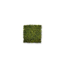 Hoja Decorativa Té 50x100