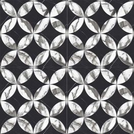 Palm Negro Pulido 60x60