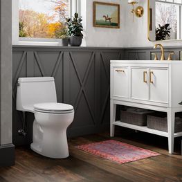 Inodoro Santa Rosa Blanco One Piece Elongado Cierre Lento Palanca ADA 4.8L