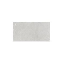 Allure Light Grey 59.8x119.8