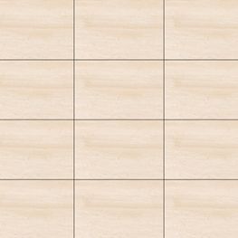 Lisva Beige Mate 20x30