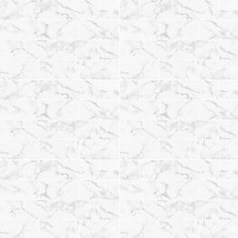 Briko Marble Blanco Brillante 20x30