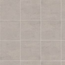 Orion Silver Gris Claro Mate 59.3x59.3