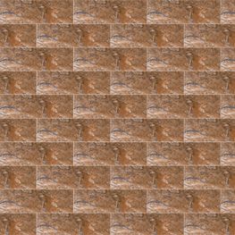 Everstone Multicolor Mate 18x60 cm